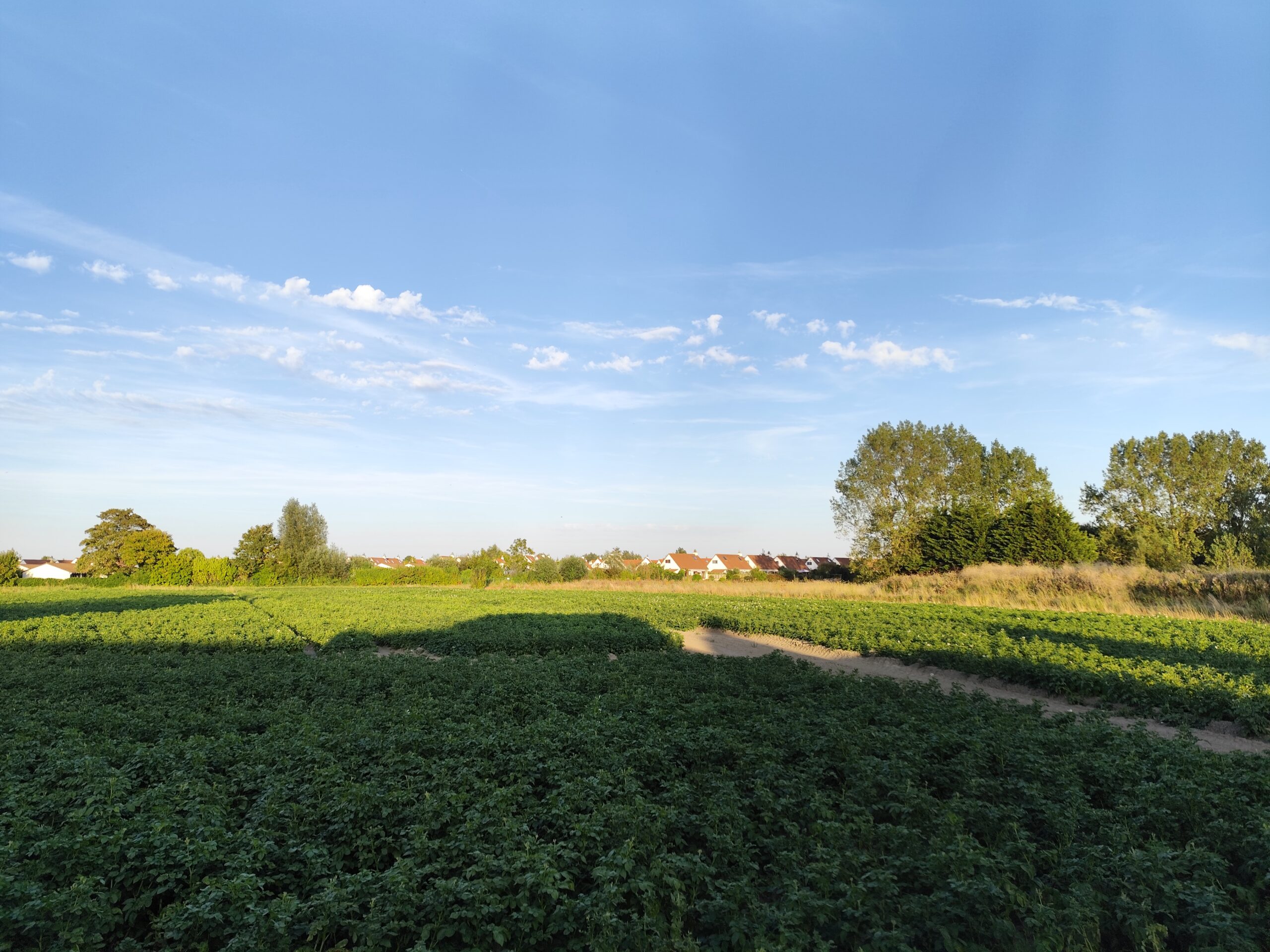 Nieuwbouwappartement met rustgevend uitzicht