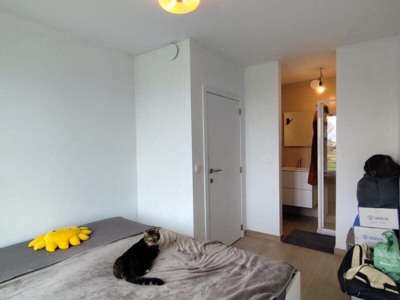 Nieuwbouw duplexappartement in de Haan