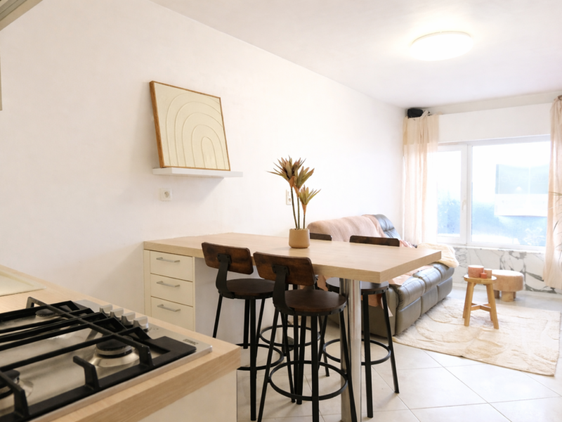 Gelijkvloersappartement op de zeedijk te Wenduine